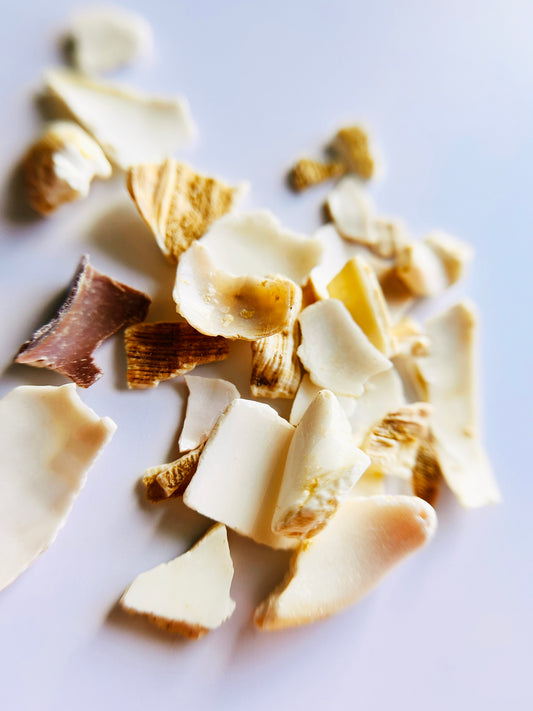 Ocean Shards Potion Topping