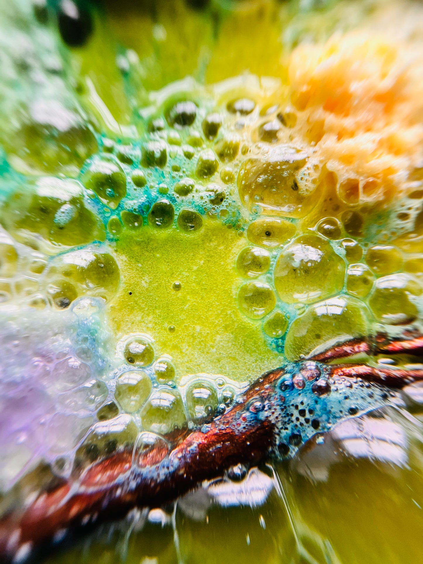 Fizz Refill Packs - Spring has sprung Collection!