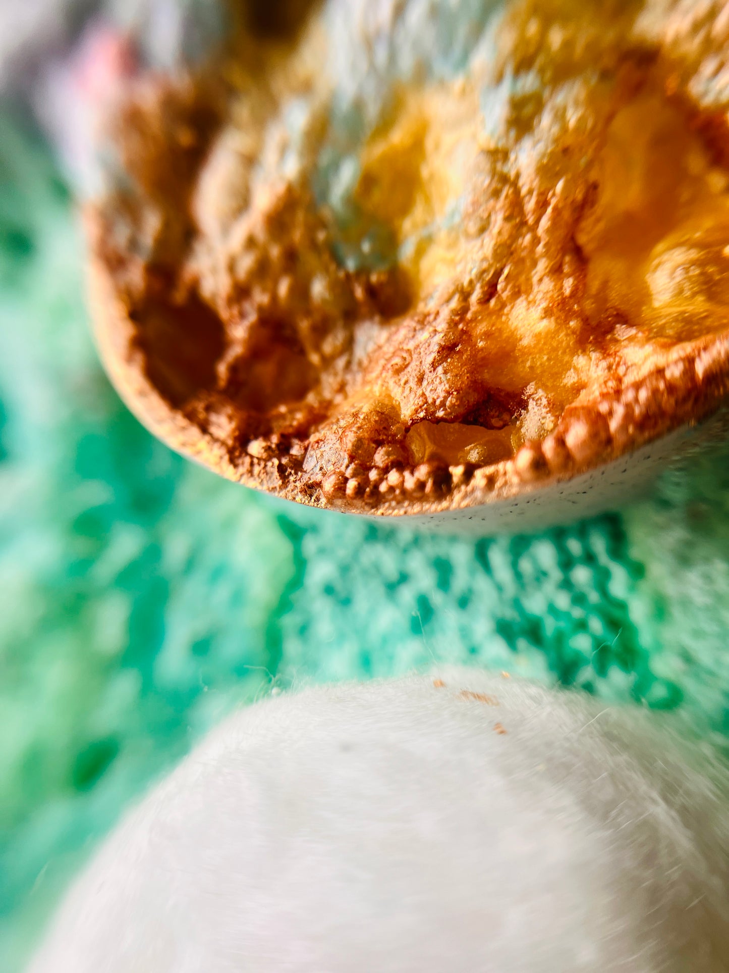 Fizz Refill Packs - Spring has sprung Collection!