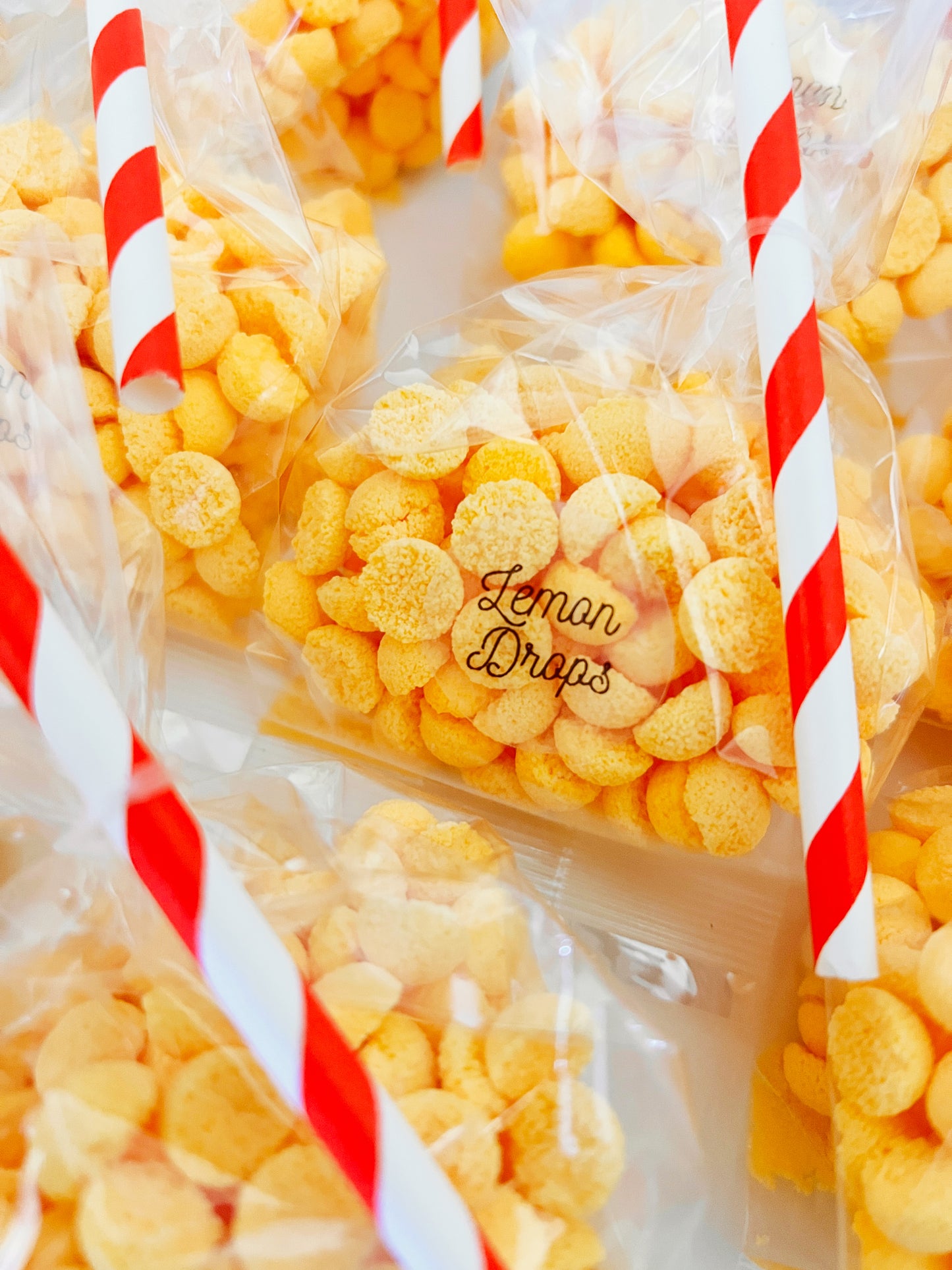 The TeddyBear's Picnic Potion Kit