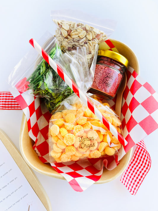 The TeddyBear's Picnic Potion Kit