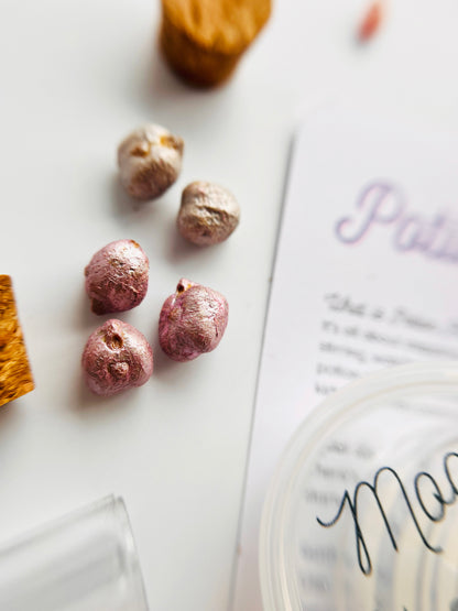 Little wizard potion kit